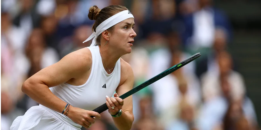 Увійшла в історію WTA. Світоліна повторила досягнення Серени Вільямс після перемоги над росіянкою в Торонто Увійшла в історію WTA. Світоліна повторила досягнення Серени Вільямс після перемоги над росіянкою в Торонто