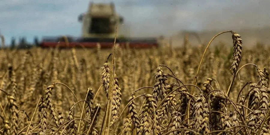 «Правила змінюються». Як нова геномна революція в ЄС вплине на агробізнес в Україні «Правила змінюються». Як нова геномна революція в ЄС вплине на агробізнес в Україні